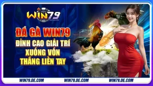 Đá gà win79